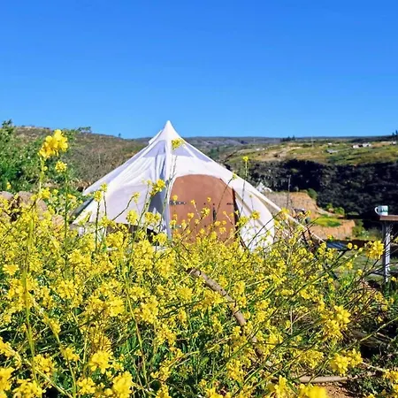 Feriehus Unique Stargazing Escape With Ocean View