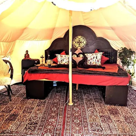 Unique Stargazing Escape With Ocean View